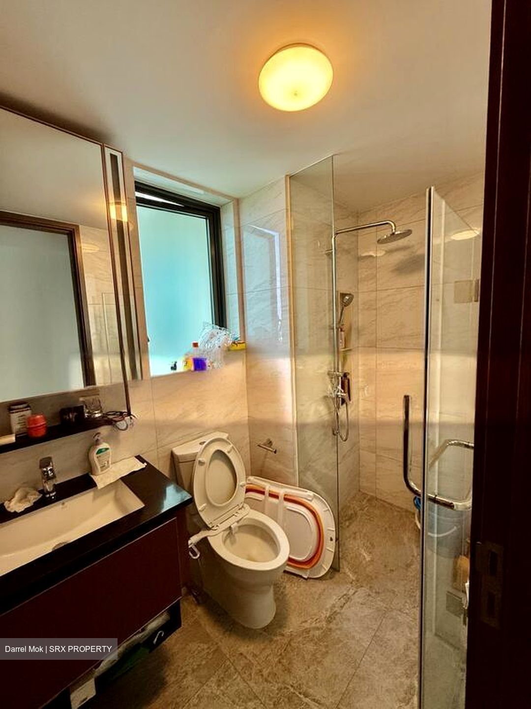 Normanton Park (D5), Apartment #486763891